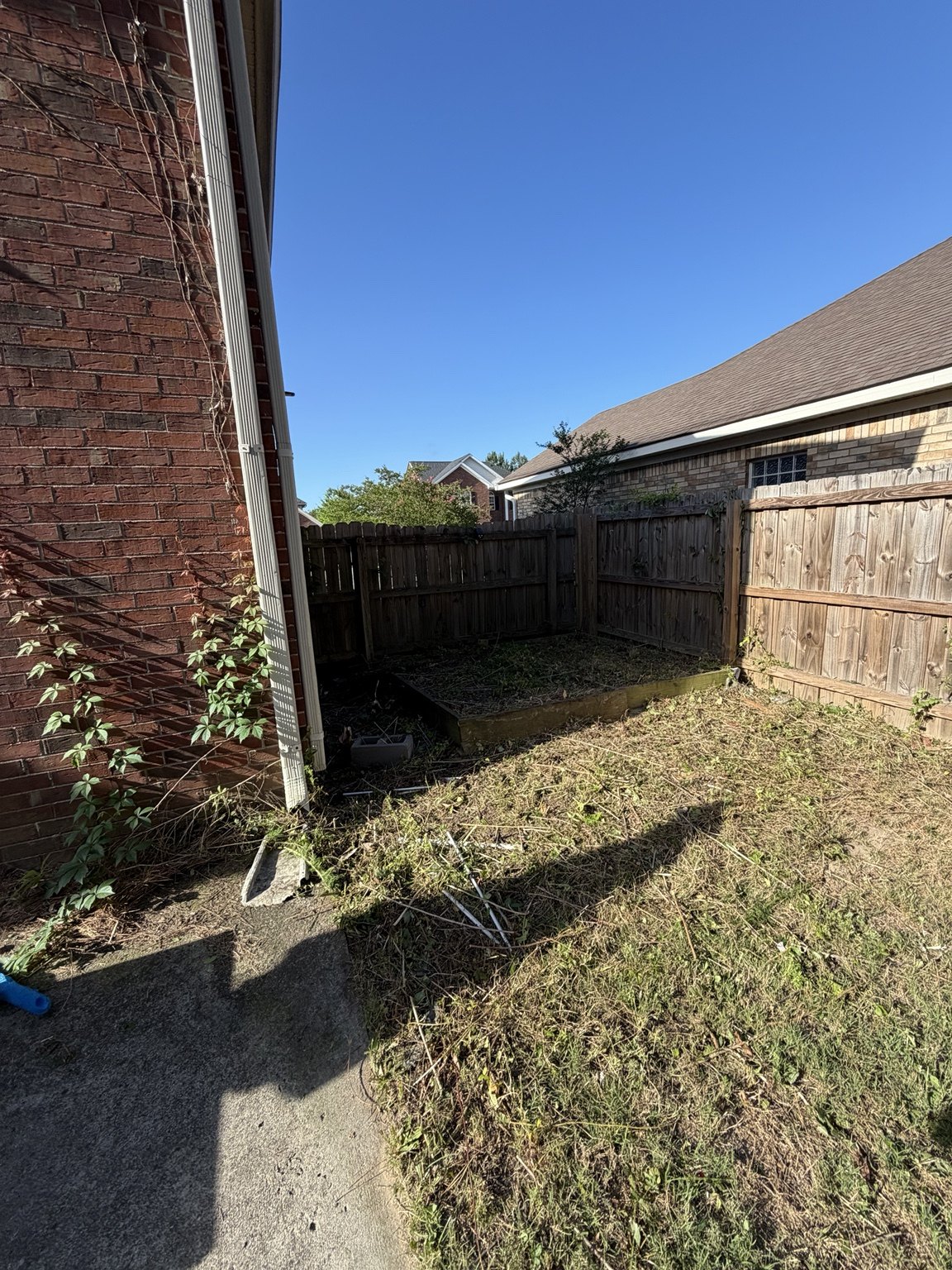 Overgrowth cleanup